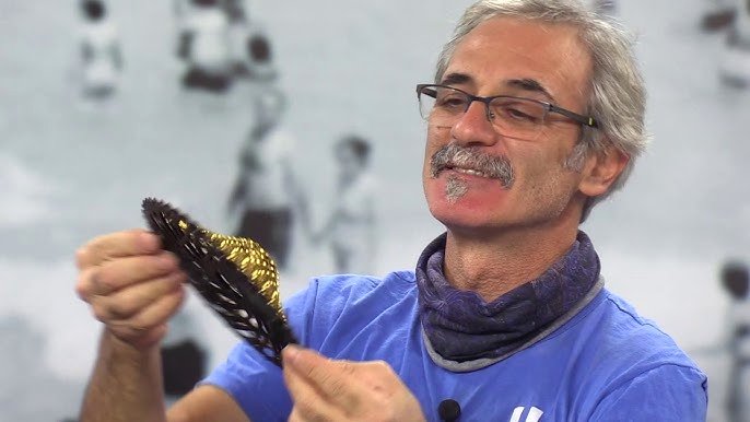 Gürsel Akay